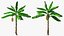 banana trees 3D
