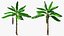 banana trees 3D