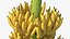 banana trees 3D