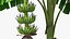 banana trees 3D