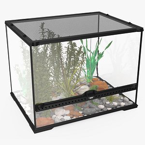 Medium Size Terrarium with Green Iguana