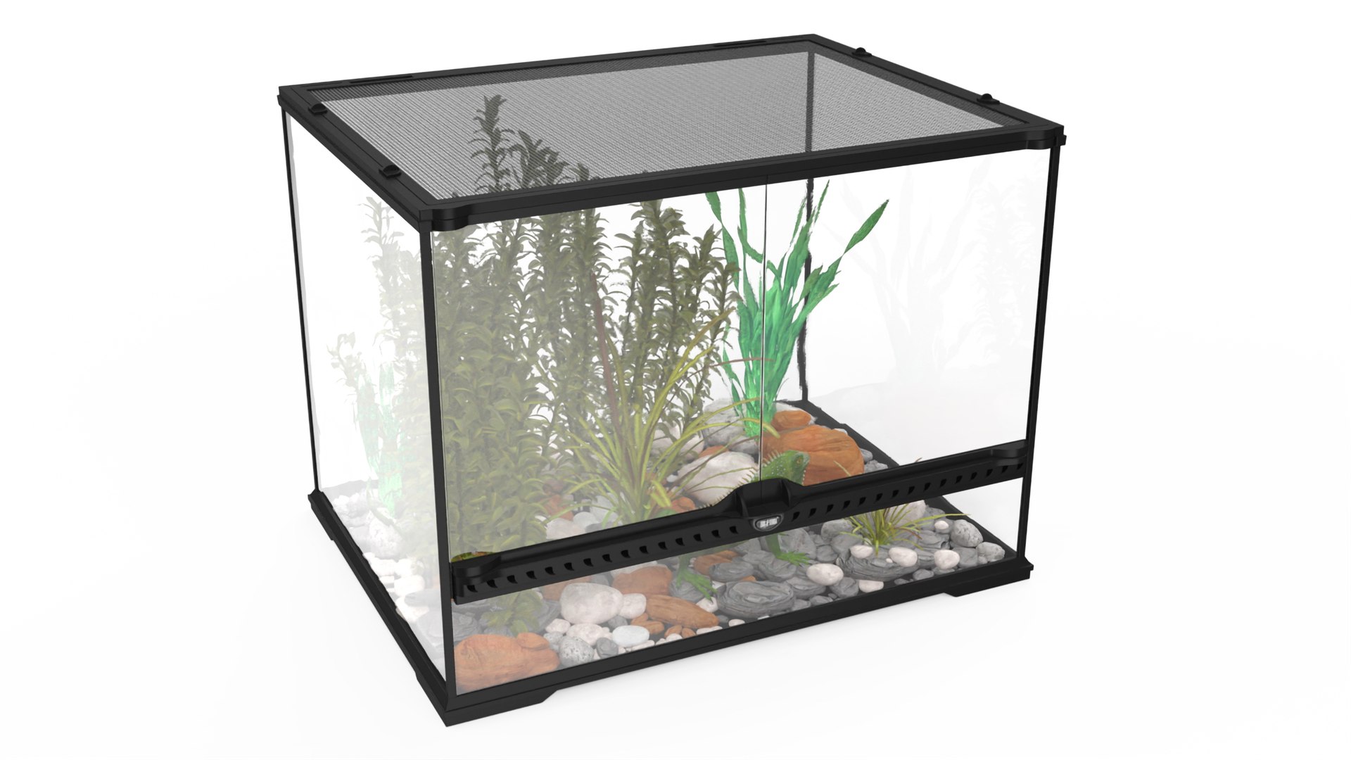 Medium Size Terrarium with Green Iguana 3D model preview