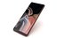 Samsung Galaxy Note9 Brown