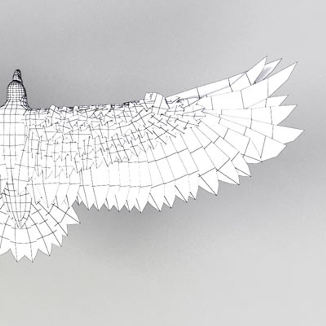 steller s sea eagle 3d model https://p.turbosquid.com/ts-thumb/xl/RjngAp/B2ZBrhjv/stellers_sea_eagle_w_03/jpg/1286268543/1920x1080/fit_q87/25014ccb40bd925a14b16d2629b19829ca6a1ef6/stellers_sea_eagle_w_03.jpg
