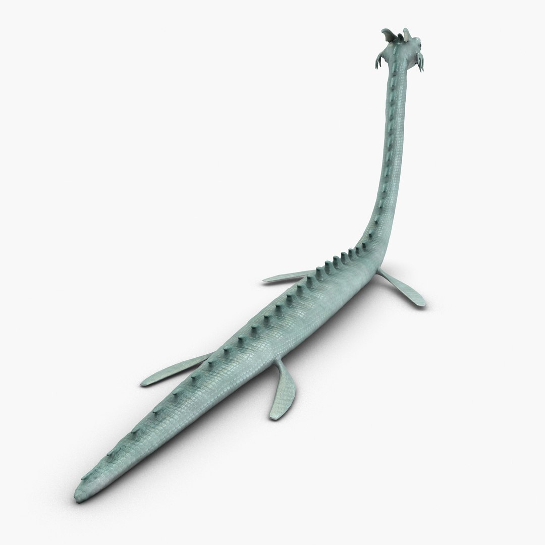 3d Sea Creature