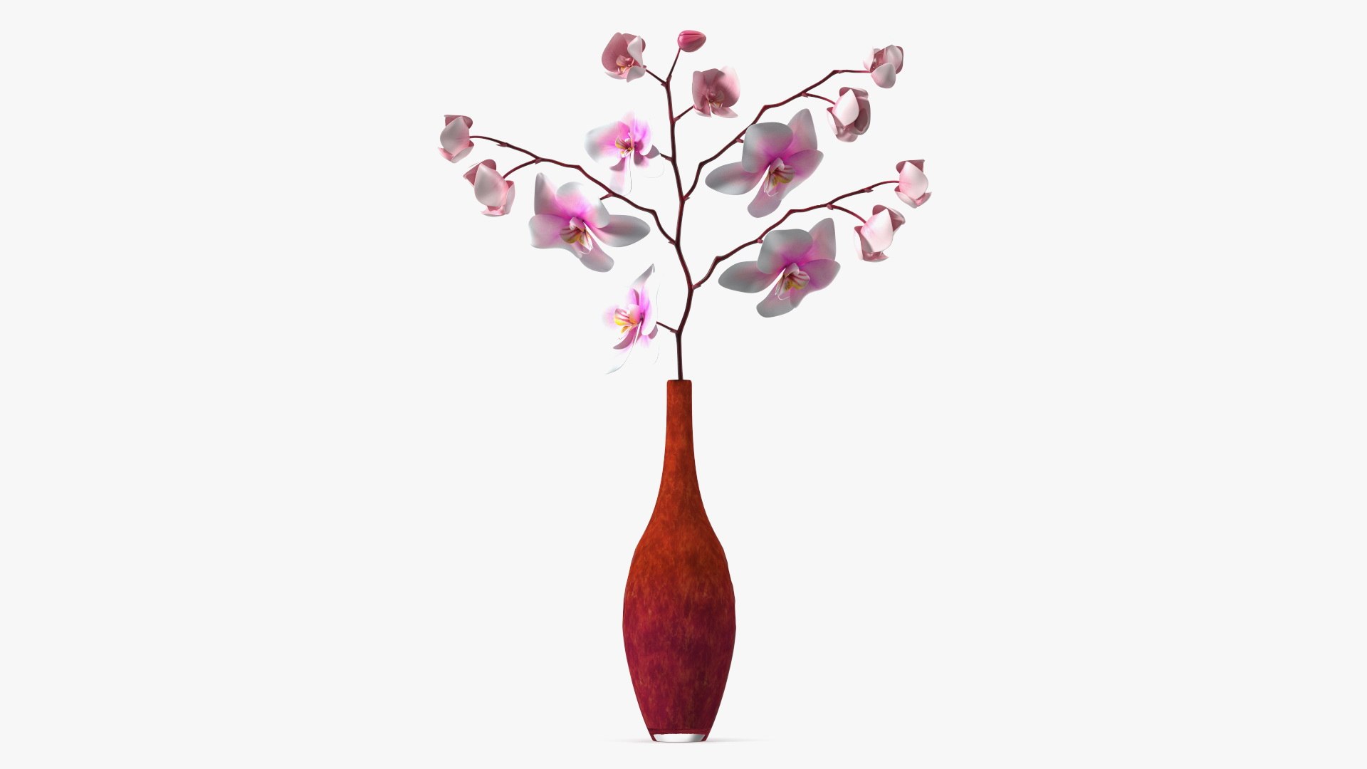 Phalaenopsis Orchid and Glass Vase 3D model preview
