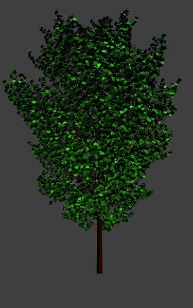 3d realistic tree model