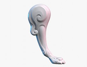 3D Lion Leg paw model