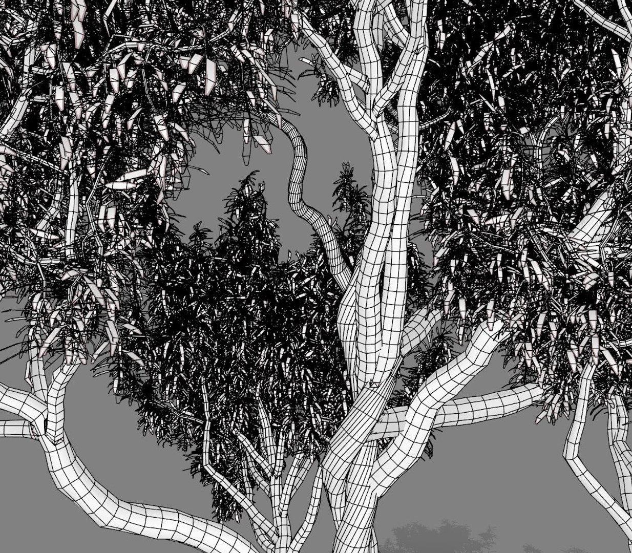 American Chestnut Tree 001 Model - TurboSquid 1654251