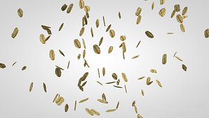 oat flakes