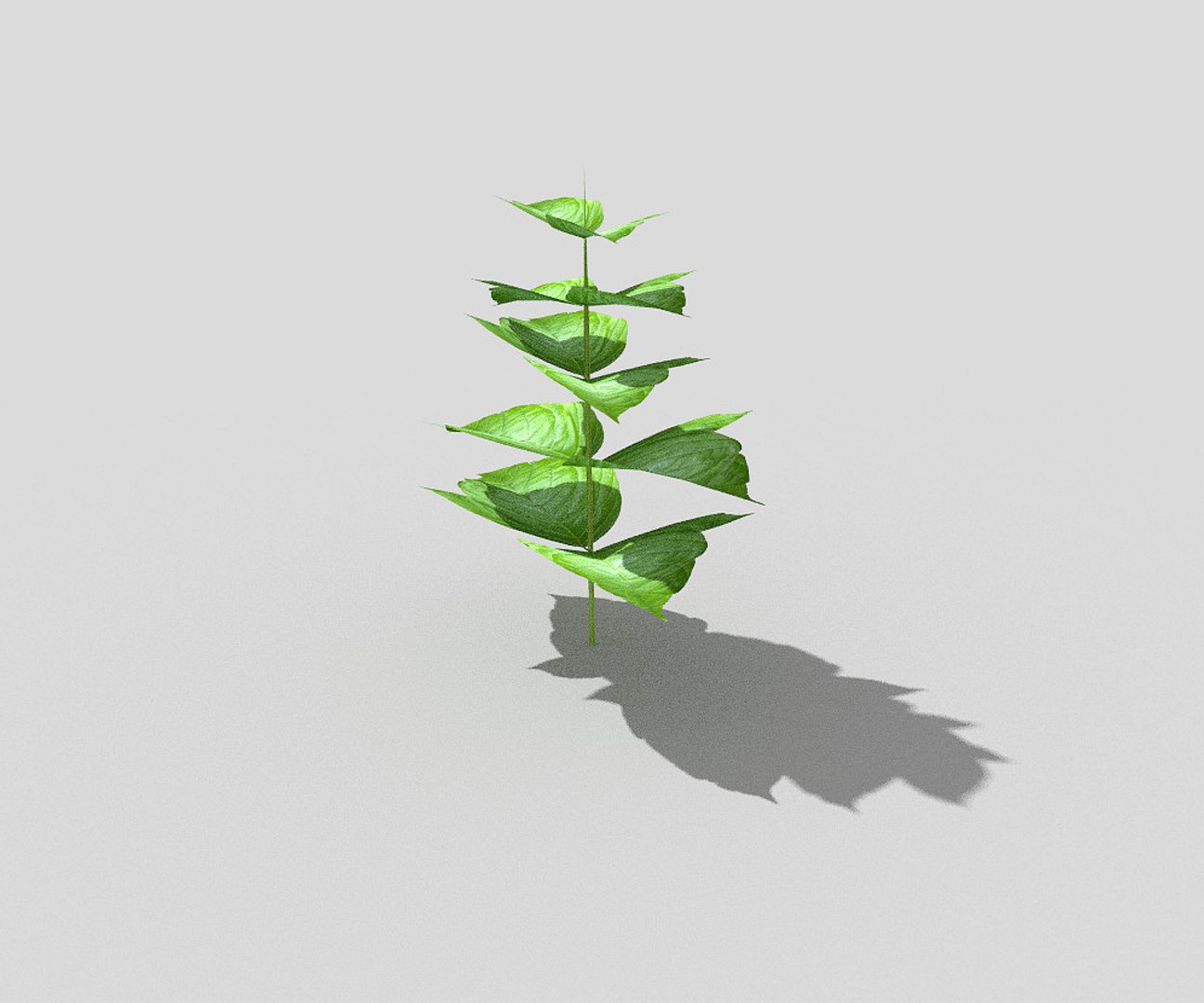 3d model of plant