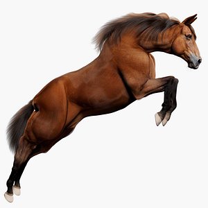 3d Horse