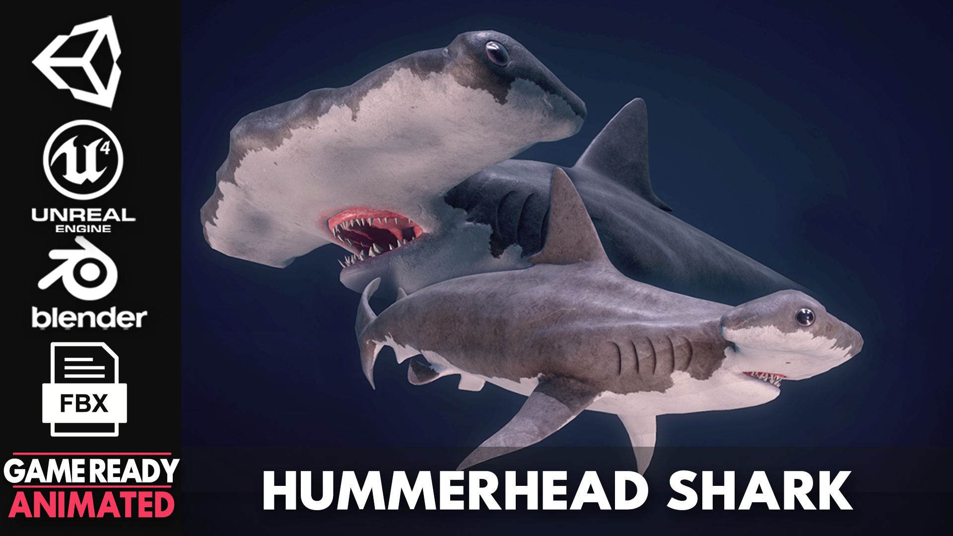 3D Hammerhead Shark - Game Ready - TurboSquid 1752176