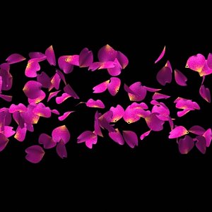 Flying Petal Generator
