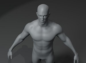Male and Female Body Base Mesh 3D Model 20k Polygons