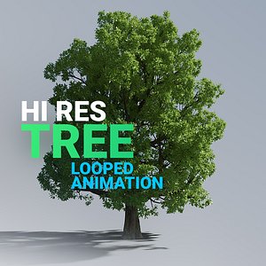 Hi Res Tree Looped Animation