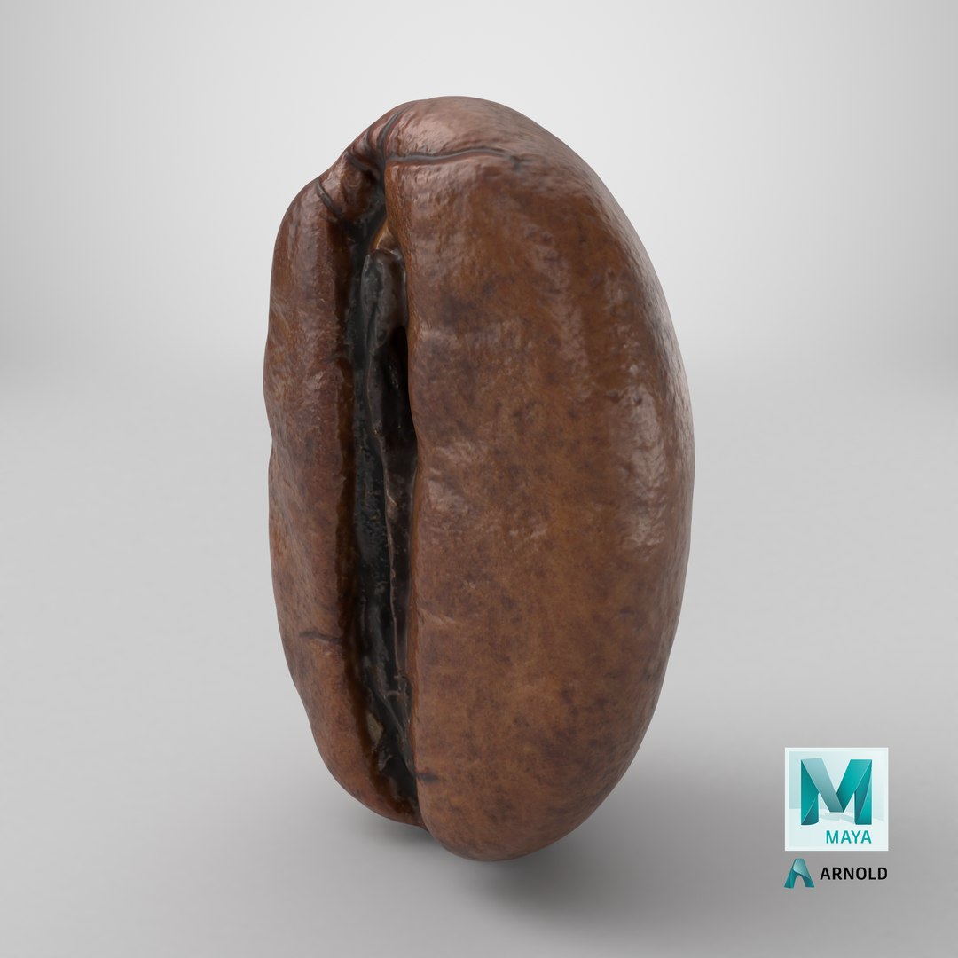 Coffee Bean 03 3D model https://p.turbosquid.com/ts-thumb/xm/uOALQK/2H/stemcell_maya_arnold_render/png/1727893353/1920x1080/fit_q87/775aa5b479948c1814a41094a769cfb0903aecd4/stemcell_maya_arnold_render.jpg