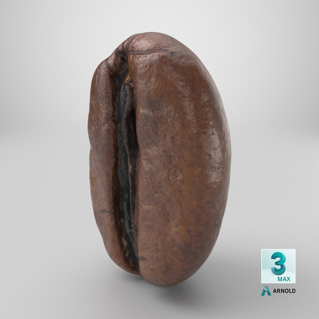 Coffee Bean 03 3D model https://p.turbosquid.com/ts-thumb/xm/uOALQK/Un/stemcell_max_arnold_render/png/1727893363/1920x1080/fit_q87/3bd333938ccc75915d154d22a7b6d3e62580fb4e/stemcell_max_arnold_render.jpg