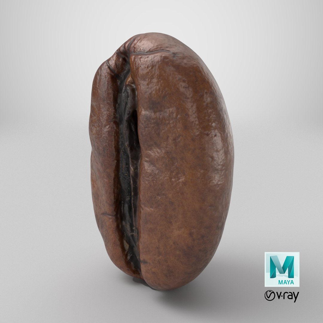 Coffee Bean 03 3D model https://p.turbosquid.com/ts-thumb/xm/uOALQK/fN/stemcell_maya_vray_render/png/1727893355/1920x1080/fit_q87/d700674e86bc51765f00de9099b886c32abeb013/stemcell_maya_vray_render.jpg
