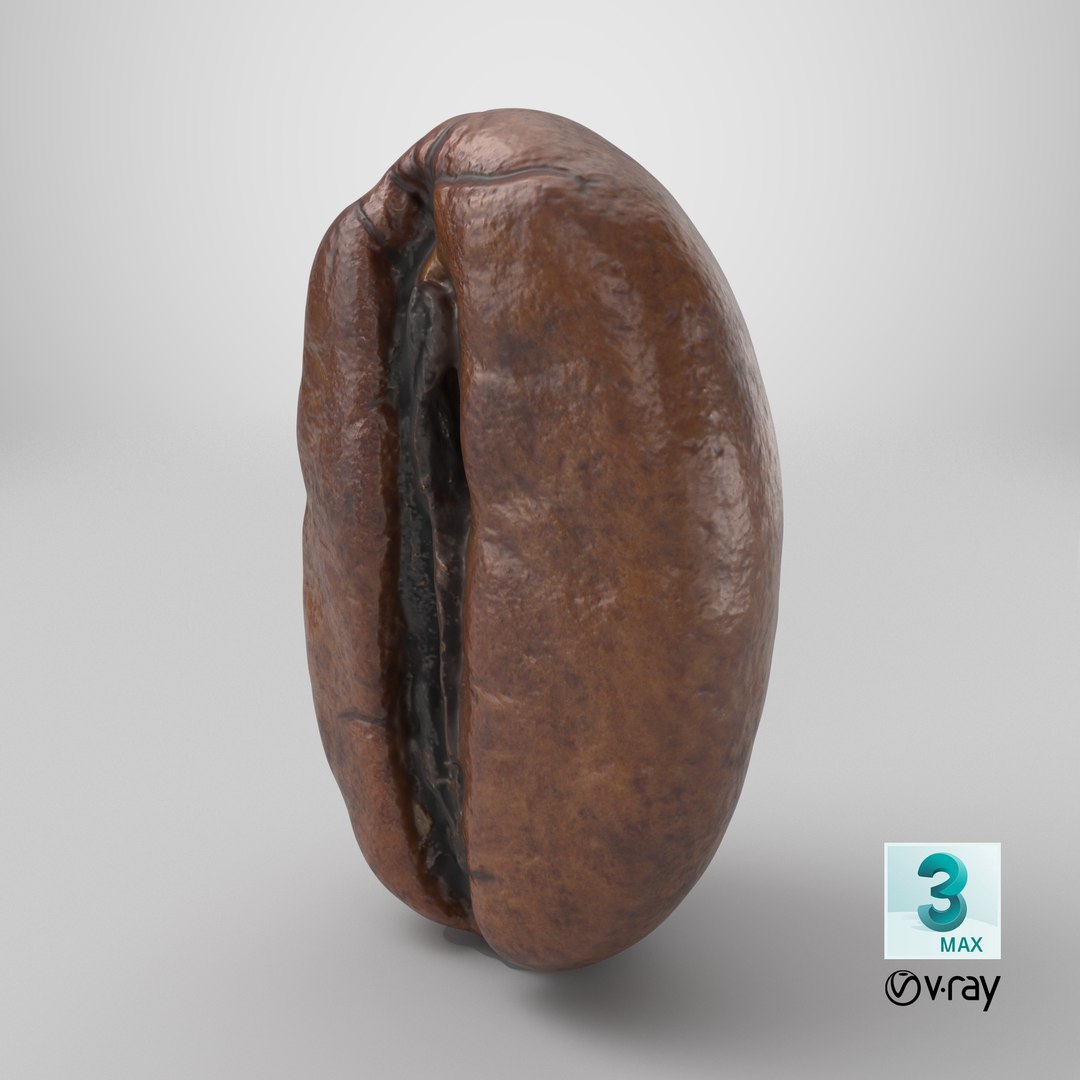Coffee Bean 03 3D model https://p.turbosquid.com/ts-thumb/xm/uOALQK/k9/stemcell_max_vray_render/png/1727893361/1920x1080/fit_q87/6b8b20a8253a002c84b59e9a9ace17c5d9667fff/stemcell_max_vray_render.jpg