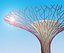 Gardens by the Bay Singapore supertrees