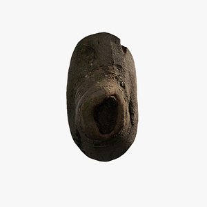 Anydrafts Cinnamomum burmannii Burl 07 model