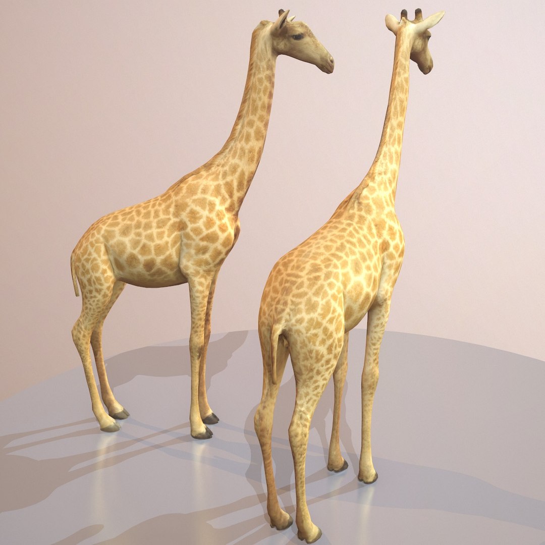 rigged giraffe 3d model