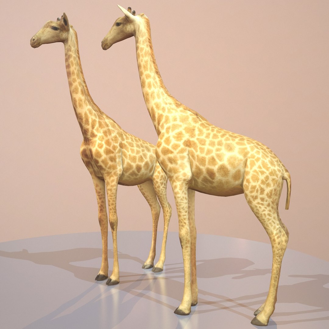 rigged giraffe 3d model