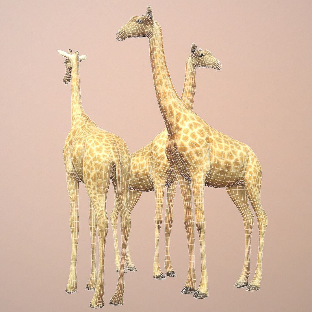 rigged giraffe 3d model