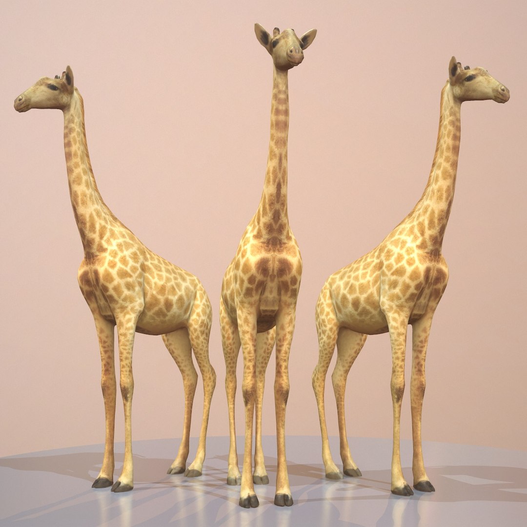 rigged giraffe 3d model