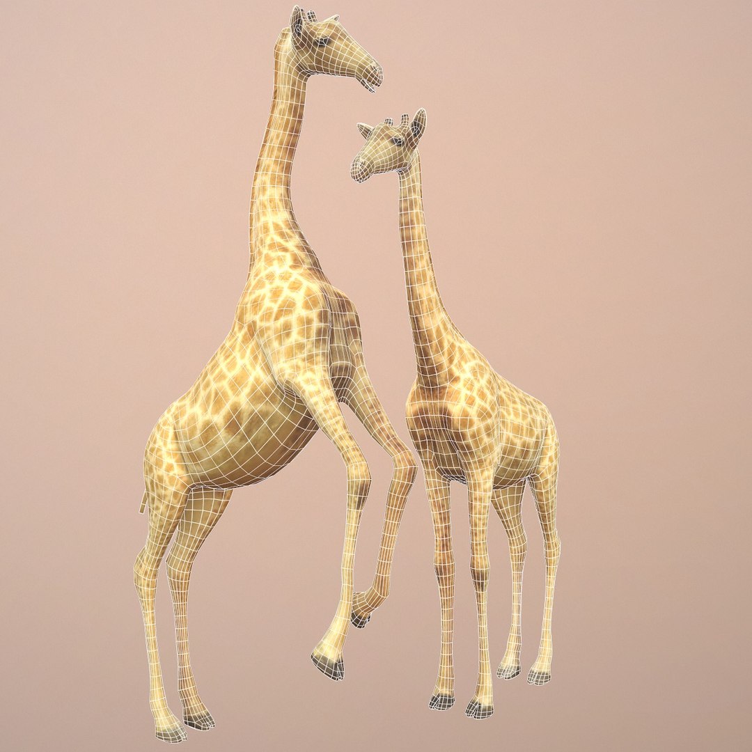 rigged giraffe 3d model