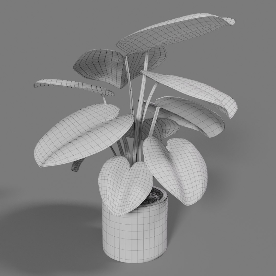 3D monstera pot https://p.turbosquid.com/ts-thumb/xn/P9NOXc/qM6TbRd5/monstera_wire/jpg/1528455806/1920x1080/fit_q87/1169d693c6c38948116525f4c89736c8c50a3bde/monstera_wire.jpg