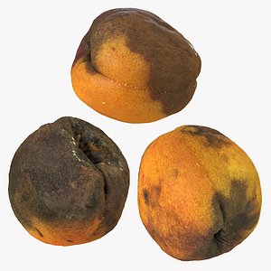 rotten apricots model