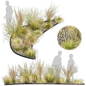 3D model Collection plant vol 588 - grass - garden - Carex - pampas - 3Ds max - Cinema 4D