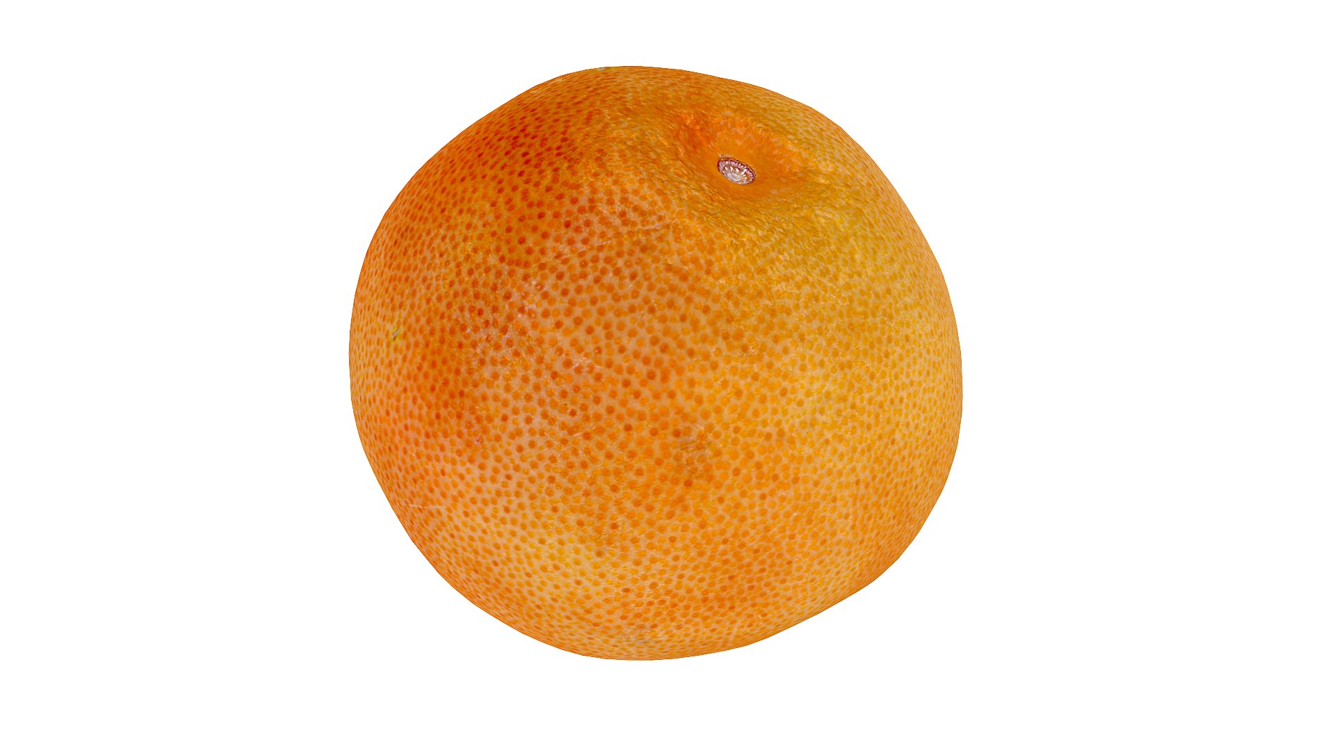 Grapefruit collection 3D https://p.turbosquid.com/ts-thumb/xn/U2CQTv/QG/grapefruit_001/png/1636137393/1920x1080/fit_q87/2314a06fed11570567d8b7c65b4fa64609ea7c5a/grapefruit_001.jpg