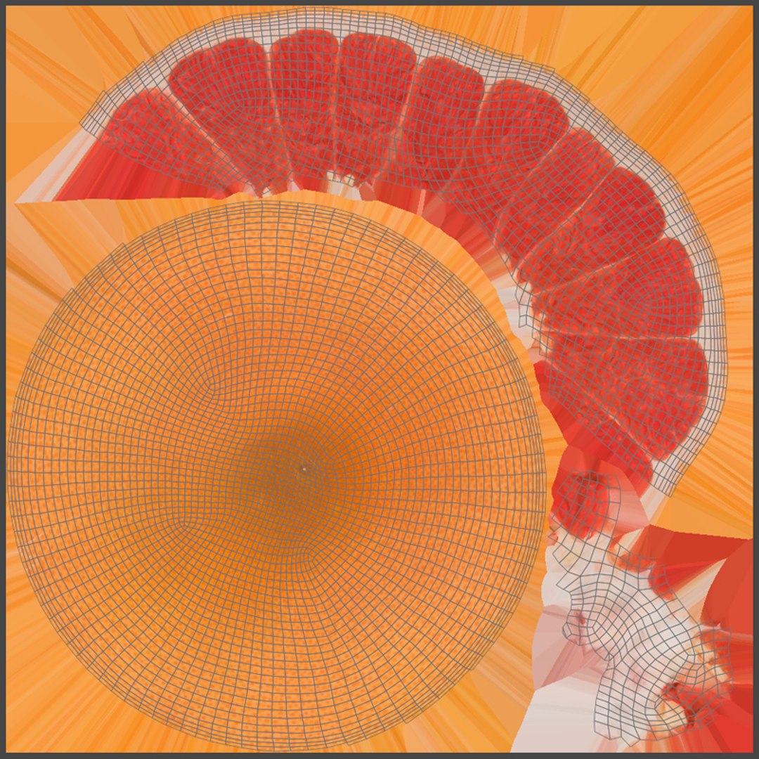Grapefruit collection 3D https://p.turbosquid.com/ts-thumb/xn/U2CQTv/e9/uv/jpg/1636130774/1920x1080/fit_q87/d8675014d0981a59fb9cffafe7a32a81590d7004/uv.jpg