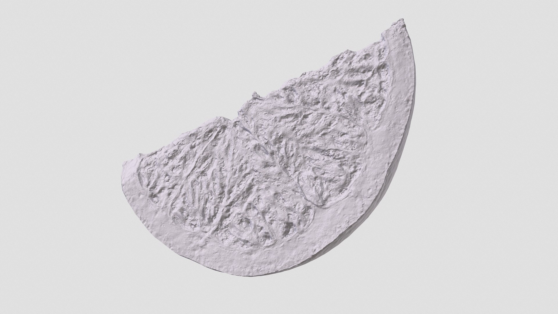 Grapefruit collection 3D https://p.turbosquid.com/ts-thumb/xn/U2CQTv/s6/grapefruit2p_006/jpg/1636126809/1920x1080/fit_q87/c9a2b85f575353f5696a7c28784eb18a4d41d0b5/grapefruit2p_006.jpg