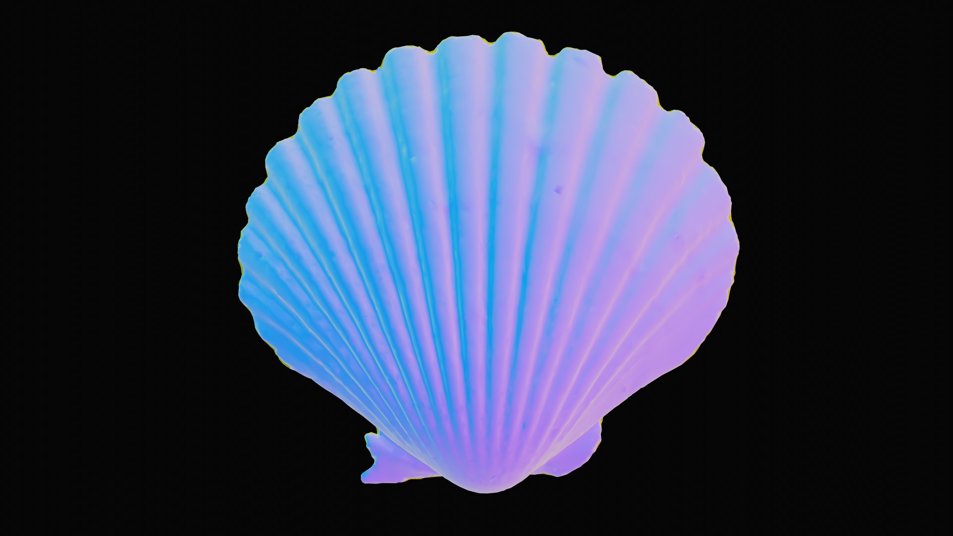 3D sea scallop shell - TurboSquid 1627571