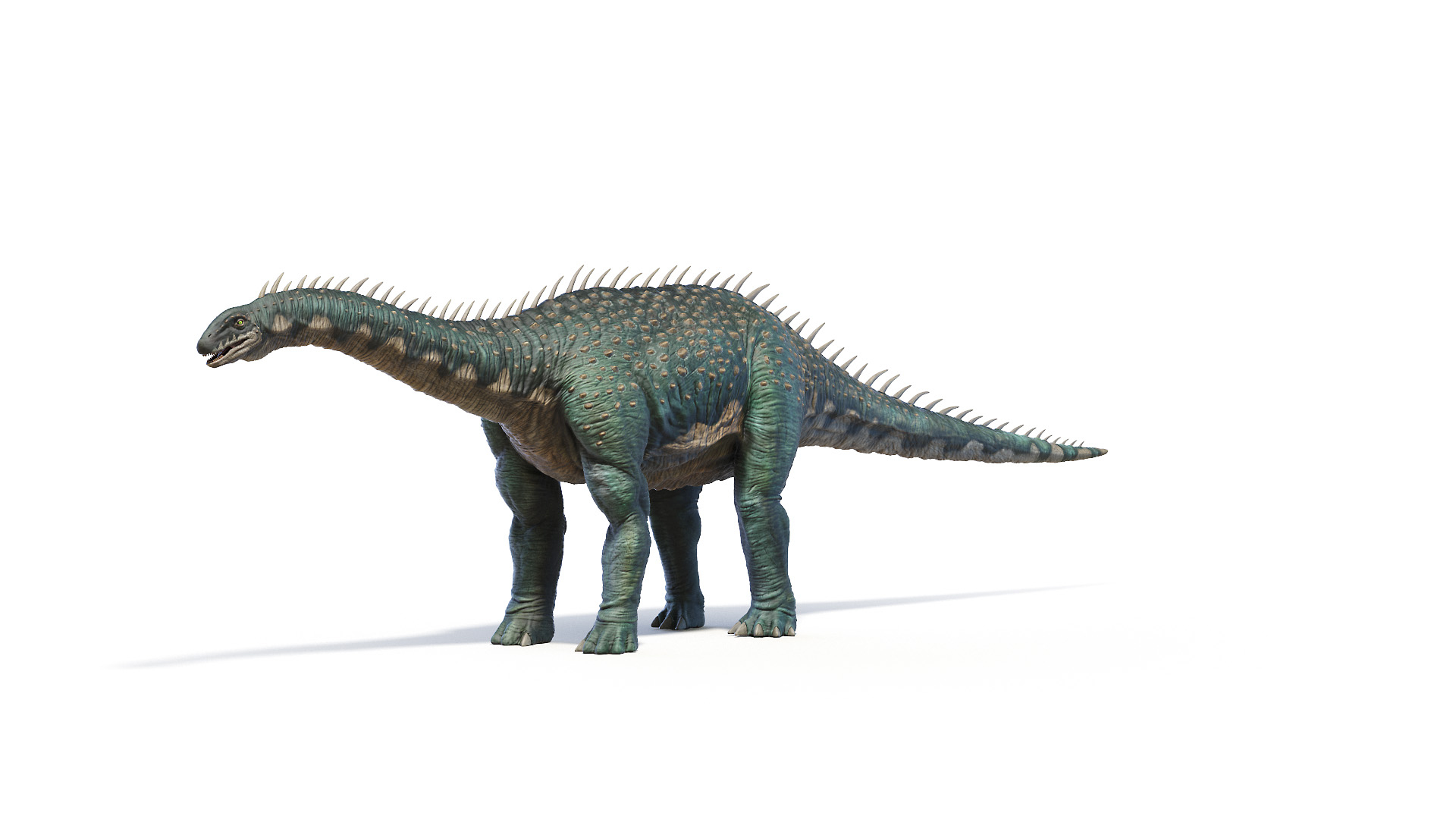 Barapasaurus Static Model - TurboSquid 1897116