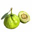 3D Green Guava