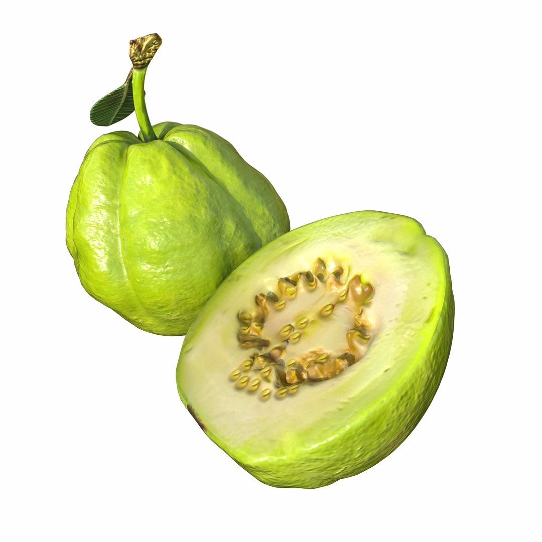 3D Green Guava https://p.turbosquid.com/ts-thumb/xo/ADZe0n/67/7/png/1742740715/1920x1080/fit_q87/10a1d41b2c27079ebb579a03723aabc270c7cf38/7.jpg