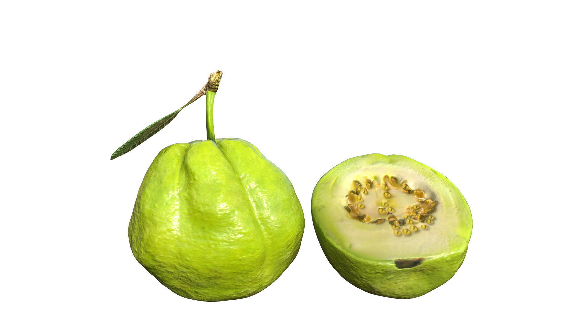 3D Green Guava https://p.turbosquid.com/ts-thumb/xo/ADZe0n/L6/5/png/1742740699/1920x1080/fit_q87/baefb7ec4bf2800ae48428542ca8bf9d0bc7b3e4/5.jpg