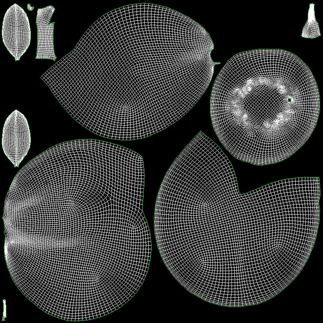 3D Green Guava https://p.turbosquid.com/ts-thumb/xo/ADZe0n/Mw/uv/jpg/1742740720/1920x1080/fit_q87/4fc50a0bc86de21895fdf4d6a8b1504137271d73/uv.jpg