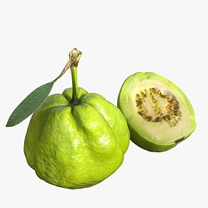3D Green Guava