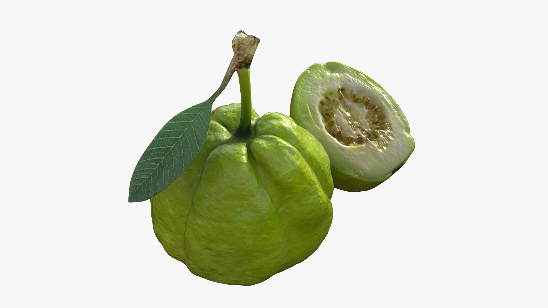 3D Green Guava https://p.turbosquid.com/ts-thumb/xo/ADZe0n/XB/100/png/1742740705/1920x1080/fit_q87/e0a838f9554f9b1b1e6514c3747eb56c665e32c0/100.jpg