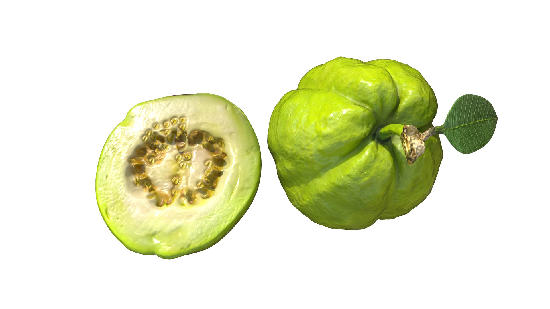 3D Green Guava https://p.turbosquid.com/ts-thumb/xo/ADZe0n/Z9/2/png/1742740692/1920x1080/fit_q87/70e325973f90636eab1f433bb84f38a796bbe528/2.jpg