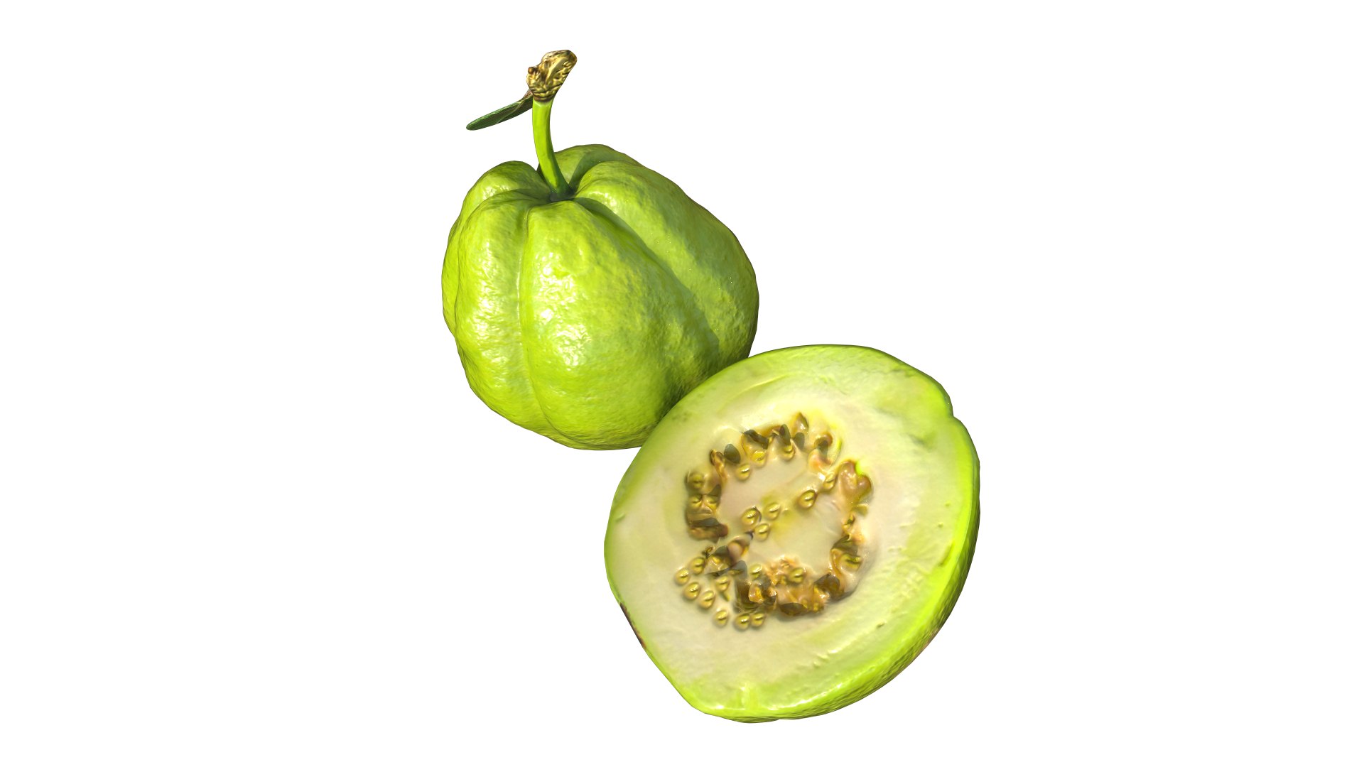 3D Green Guava https://p.turbosquid.com/ts-thumb/xo/ADZe0n/f9/3/png/1742740695/1920x1080/fit_q87/23cf9986f1abdd12060115526fdf2e32e932773e/3.jpg