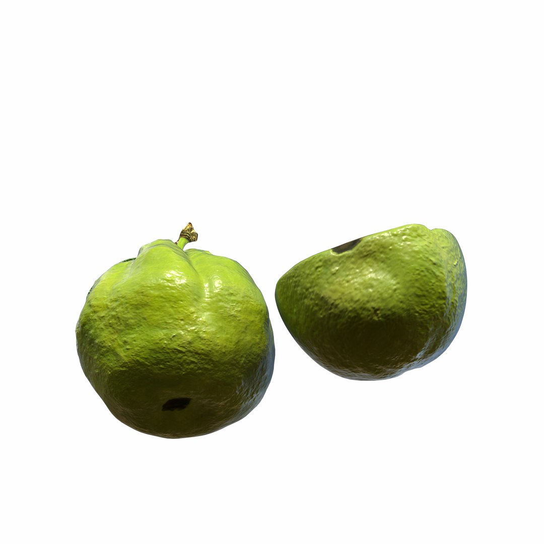 3D Green Guava https://p.turbosquid.com/ts-thumb/xo/ADZe0n/tI/8/png/1742740705/1920x1080/fit_q87/1638bd1cc5c8f4b4b07e20f1d88d4badcd9a4240/8.jpg