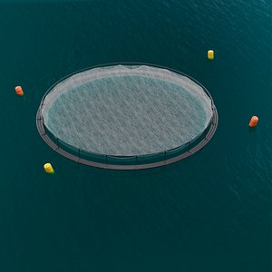 Circular Offshore Fish Cage with Buoys 3D model