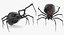 3D black widow spider rigged